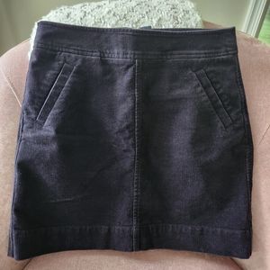 Anne Taylor Loft skirt